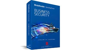 business security