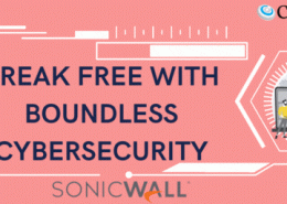 Sonicwall CyberSecurity